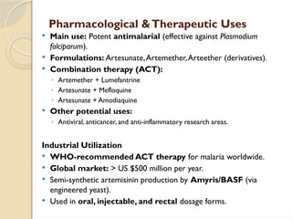 Pharmacological &Therapeutic Uses
 Main use: Potent antimalarial (effective against Plasmodium
falciparum).
 Formulations: Artesunate,Artemether,Arteether (derivatives).
 Combination therapy (ACT):
◦ Artemether + Lumefantrine
◦ Artesunate + Mefloquine
◦ Artesunate + Amodiaquine
 Other potential uses:
◦ Antiviral, anticancer, and anti-inflammatory research areas.
Industrial Utilization
 WHO-recommended ACT therapy for malaria worldwide.
 Global market: > US $500 million per year.
 Semi-synthetic artemisinin production by Amyris/BASF (via
engineered yeast).
 Used in oral, injectable, and rectal dosage forms.
 