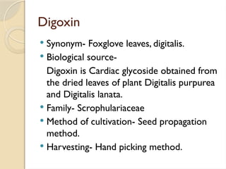 Digoxin
 Synonym- Foxglove leaves, digitalis.
 Biological source-
Digoxin is Cardiac glycoside obtained from
the dried leaves of plant Digitalis purpurea
and Digitalis lanata.
 Family- Scrophulariaceae
 Method of cultivation- Seed propagation
method.
 Harvesting- Hand picking method.
 