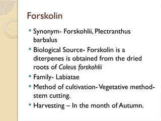Forskolin
 Synonym- Forskohlii, Plectranthus
barbalus
 Biological Source- Forskolin is a
diterpenes is obtained from the dried
roots of Coleus forskohlii
 Family- Labiatae
 Method of cultivation-Vegetative method-
stem cutting.
 Harvesting – In the month of Autumn.
 