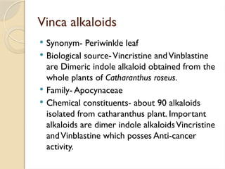 Vinca alkaloids
 Synonym- Periwinkle leaf
 Biological source-Vincristine andVinblastine
are Dimeric indole alkaloid obtained from the
whole plants of Catharanthus roseus.
 Family- Apocynaceae
 Chemical constituents- about 90 alkaloids
isolated from catharanthus plant. Important
alkaloids are dimer indole alkaloidsVincristine
andVinblastine which posses Anti-cancer
activity.
 