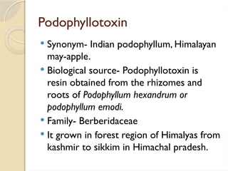 Podophyllotoxin
 Synonym- Indian podophyllum, Himalayan
may-apple.
 Biological source- Podophyllotoxin is
resin obtained from the rhizomes and
roots of Podophyllum hexandrum or
podophyllum emodi.
 Family- Berberidaceae
 It grown in forest region of Himalyas from
kashmir to sikkim in Himachal pradesh.
 
