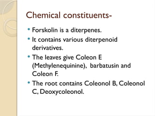 Chemical constituents-
 Forskolin is a diterpenes.
 It contains various diterpenoid
derivatives.
 The leaves give Coleon E
(Methylenequinine), barbatusin and
Coleon F.
 The root contains Coleonol B, Coleonol
C, Deoxycoleonol.
 