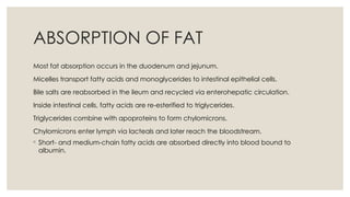 Comprehensive Overview of Fats: Types, Functions, and Dietary ...
