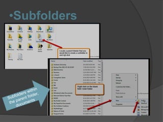 •Subfolders
 