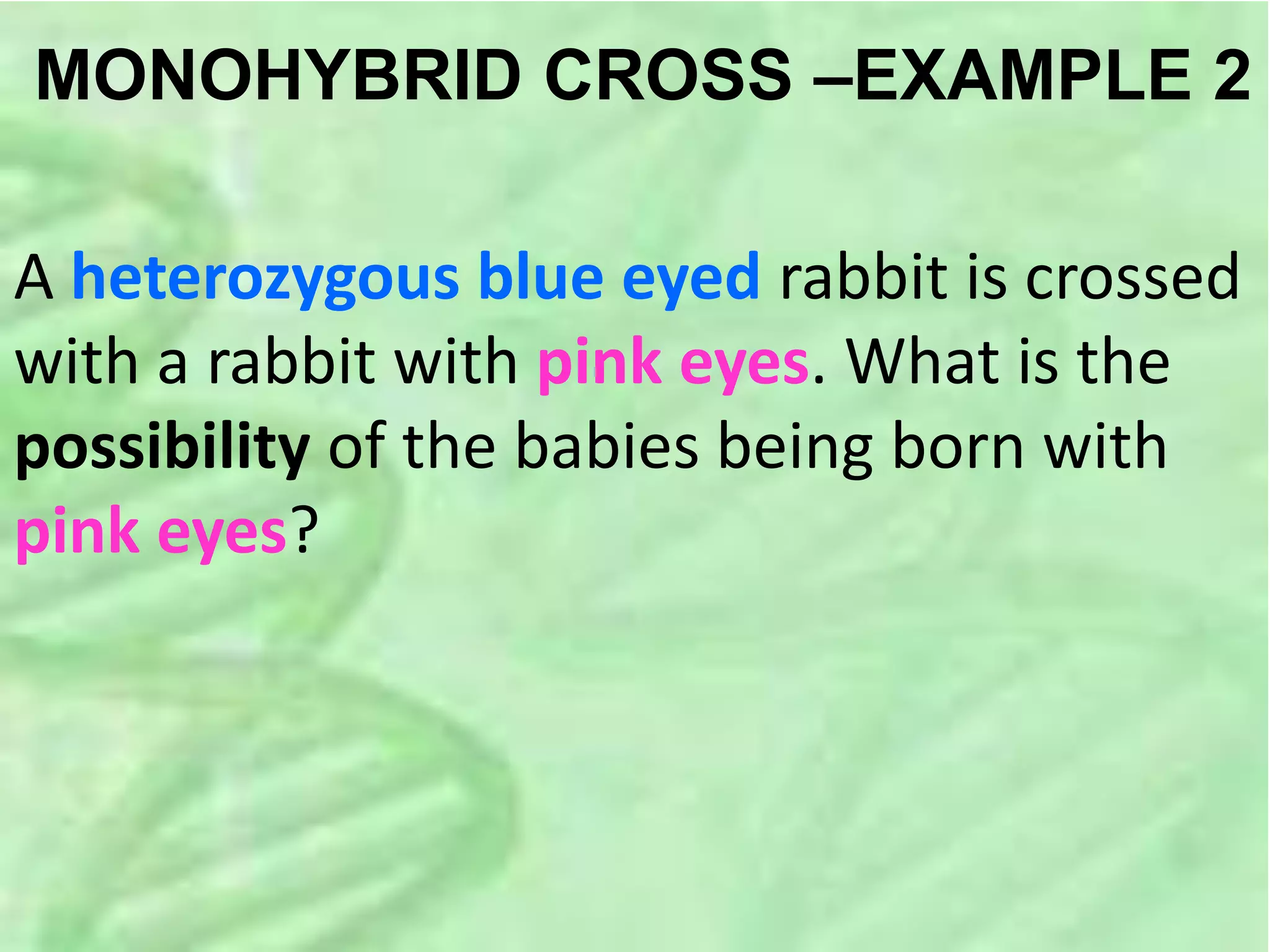 MONOHYBRID CROSS –EXAMPLE 2
A heterozygous blue eyed rabbit is crossed
with a rabbit with pink eyes. What is the
possibility of the babies being born with
pink eyes?
 