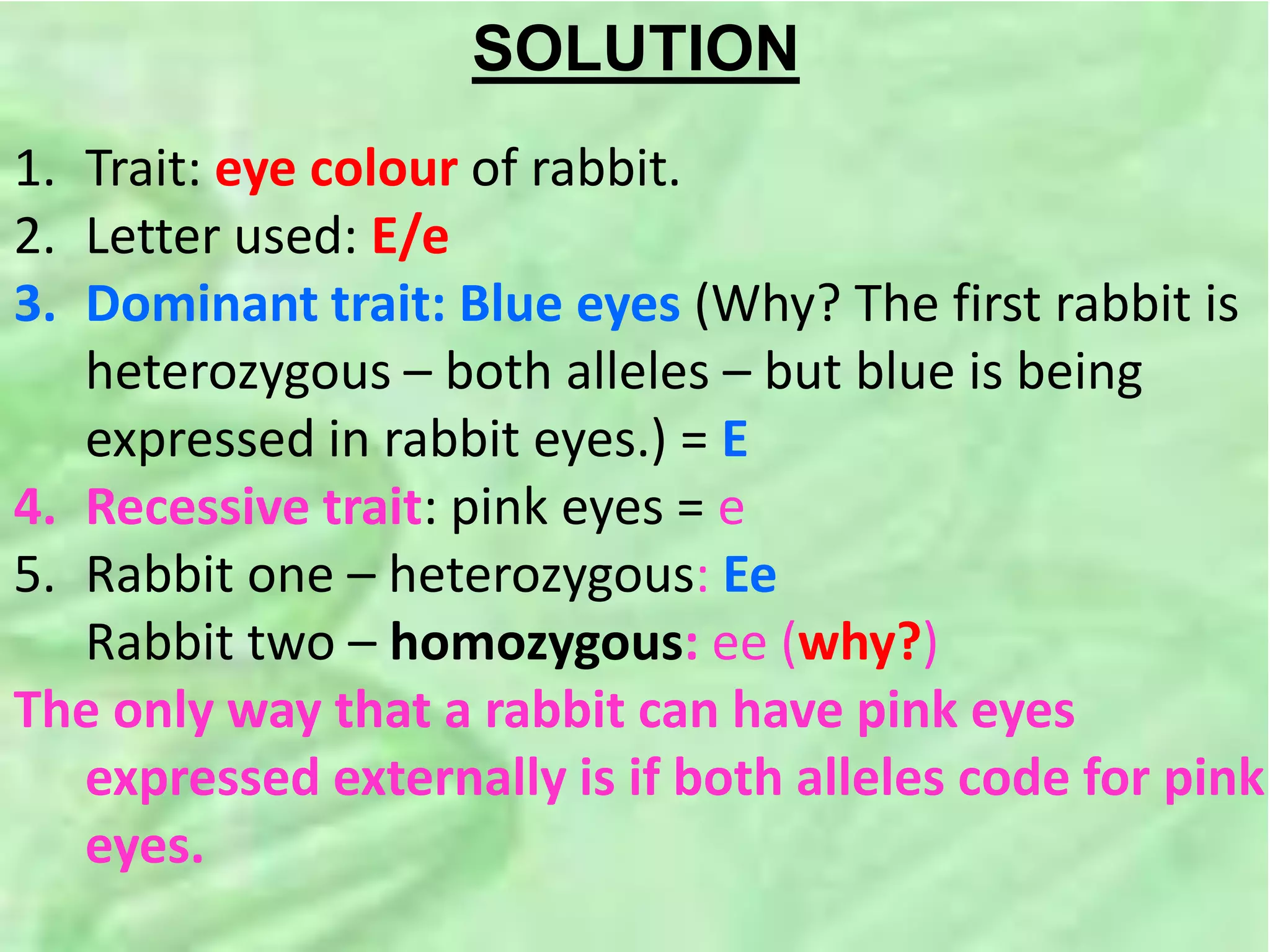 SOLUTION
1. Trait: eye colour of rabbit.
2. Letter used: E/e
3. Dominant trait: Blue eyes (Why? The first rabbit is
heterozygous – both alleles – but blue is being
expressed in rabbit eyes.) = E
4. Recessive trait: pink eyes = e
5. Rabbit one – heterozygous: Ee
Rabbit two – homozygous: ee (why?)
The only way that a rabbit can have pink eyes
expressed externally is if both alleles code for pink
eyes.
 
