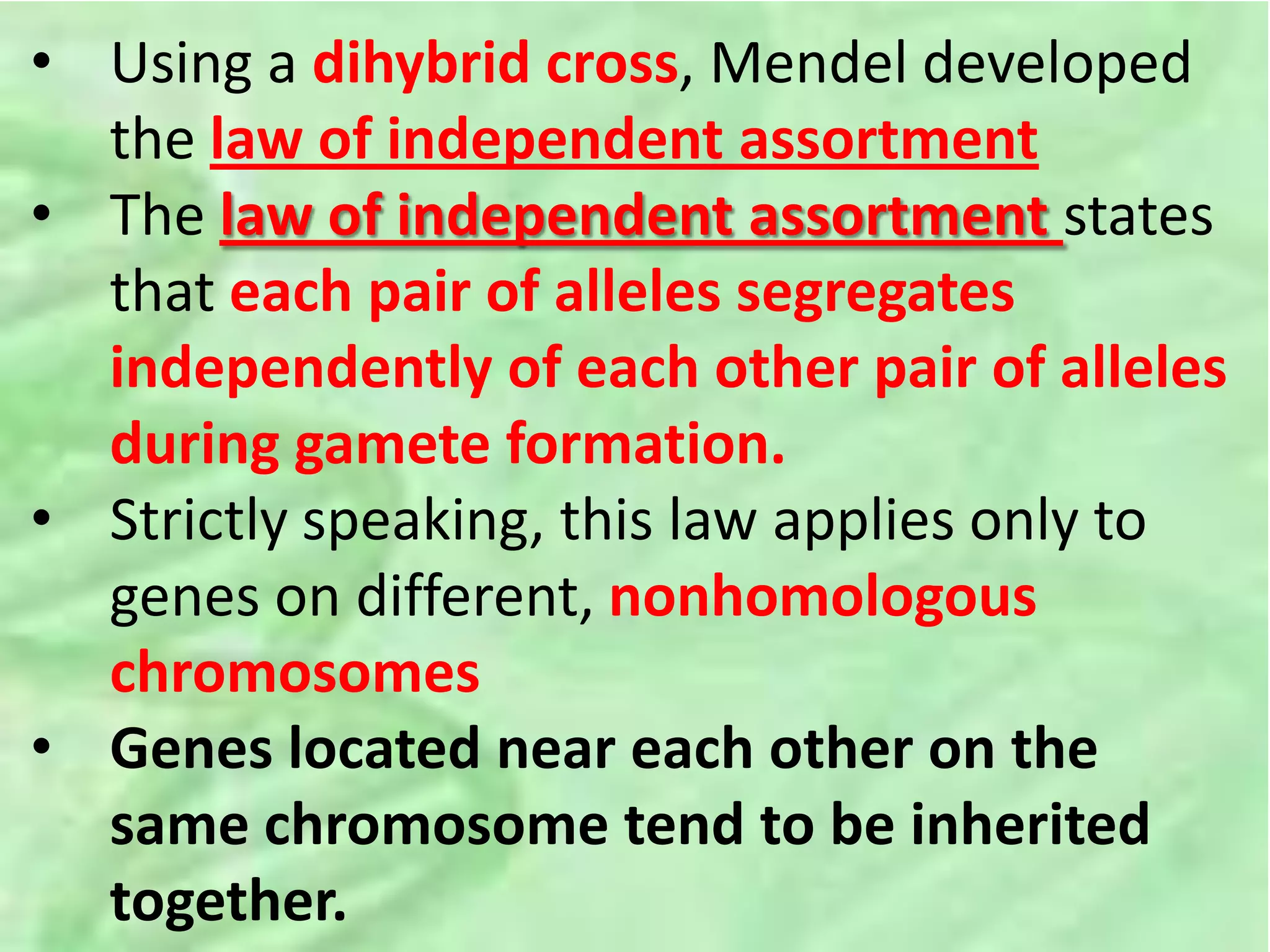 • Using a dihybrid cross, Mendel developed
the law of independent assortment
• The law of independent assortment states
that each pair of alleles segregates
independently of each other pair of alleles
during gamete formation.
• Strictly speaking, this law applies only to
genes on different, nonhomologous
chromosomes
• Genes located near each other on the
same chromosome tend to be inherited
together.
 