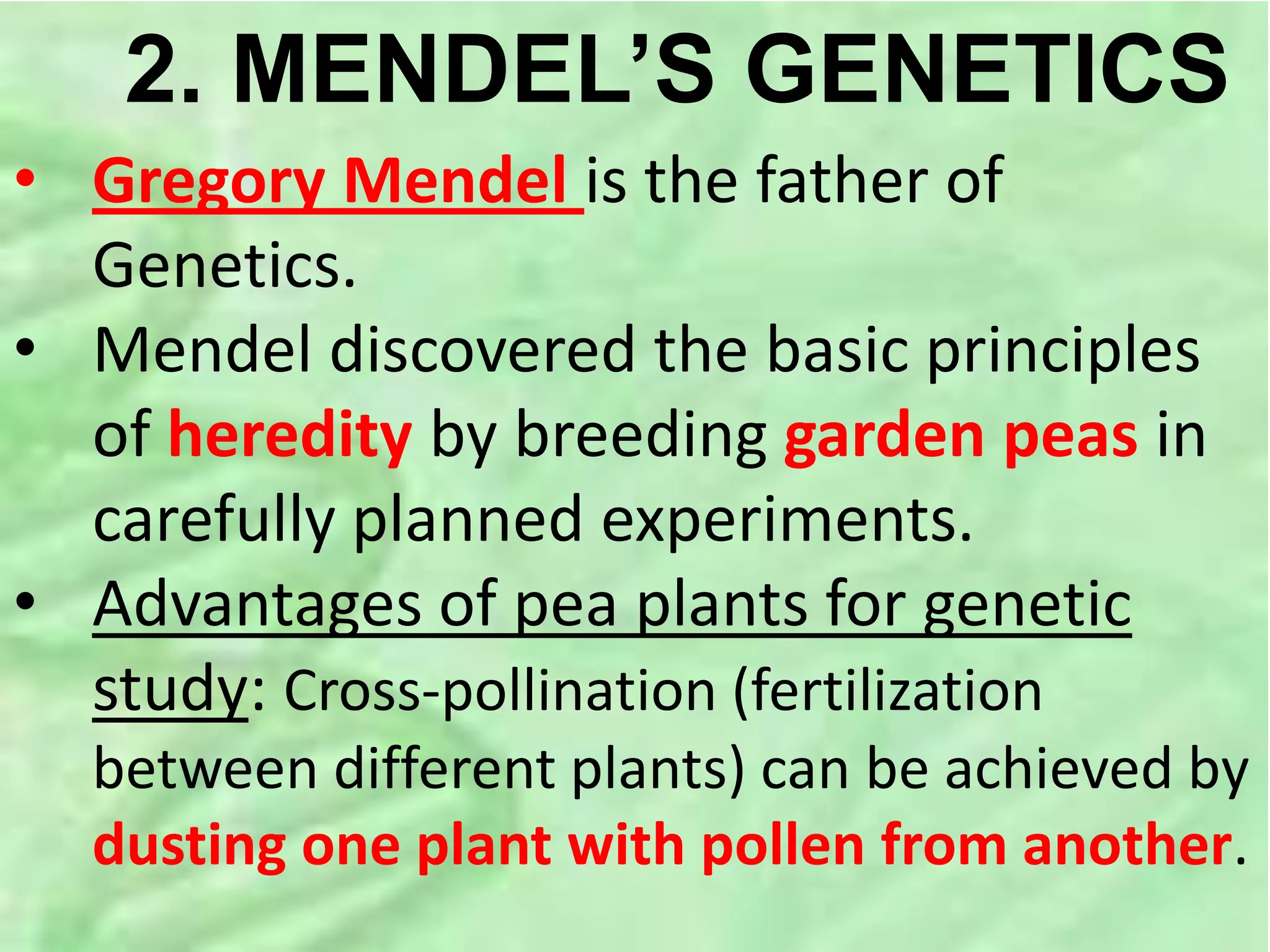2. MENDEL’S GENETICS
• Gregory Mendel is the father of
Genetics.
• Mendel discovered the basic principles
of heredity by breeding garden peas in
carefully planned experiments.
• Advantages of pea plants for genetic
study: Cross-pollination (fertilization
between different plants) can be achieved by
dusting one plant with pollen from another.
 
