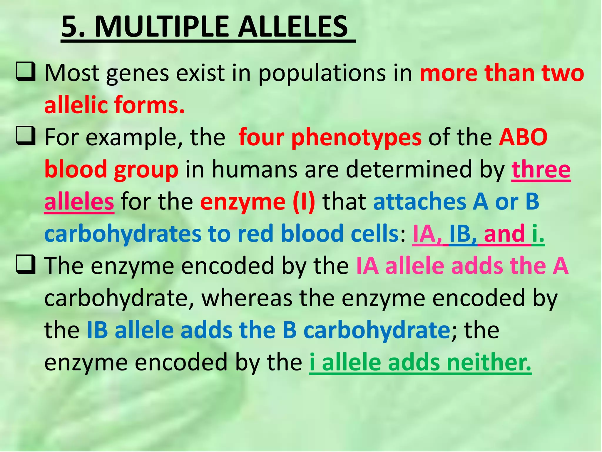 5. MULTIPLE ALLELES
 Most genes exist in populations in more than two
allelic forms.
 For example, the four phenotypes of the ABO
blood group in humans are determined by three
alleles for the enzyme (I) that attaches A or B
carbohydrates to red blood cells: IA, IB, and i.
 The enzyme encoded by the IA allele adds the A
carbohydrate, whereas the enzyme encoded by
the IB allele adds the B carbohydrate; the
enzyme encoded by the i allele adds neither.
 