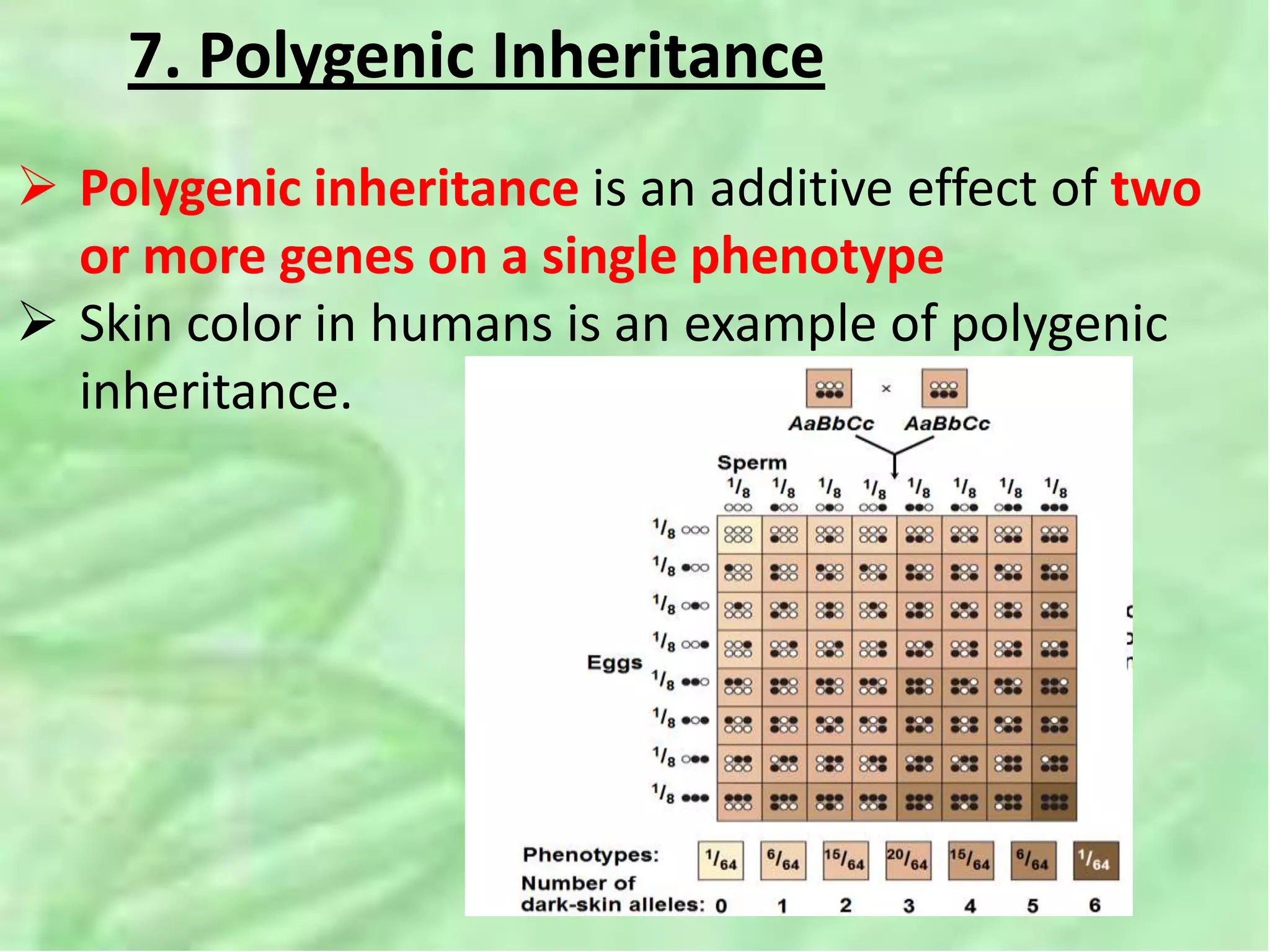 7. Polygenic Inheritance
 Polygenic inheritance is an additive effect of two
or more genes on a single phenotype
 Skin color in humans is an example of polygenic
inheritance.
 