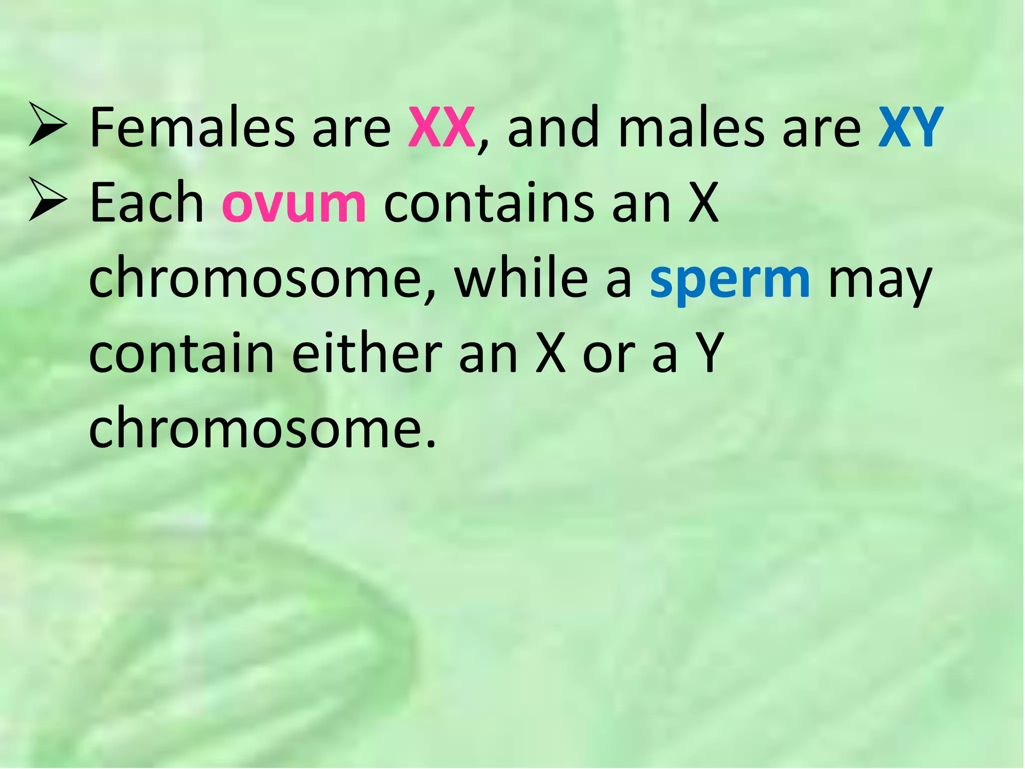  Females are XX, and males are XY
 Each ovum contains an X
chromosome, while a sperm may
contain either an X or a Y
chromosome.
 