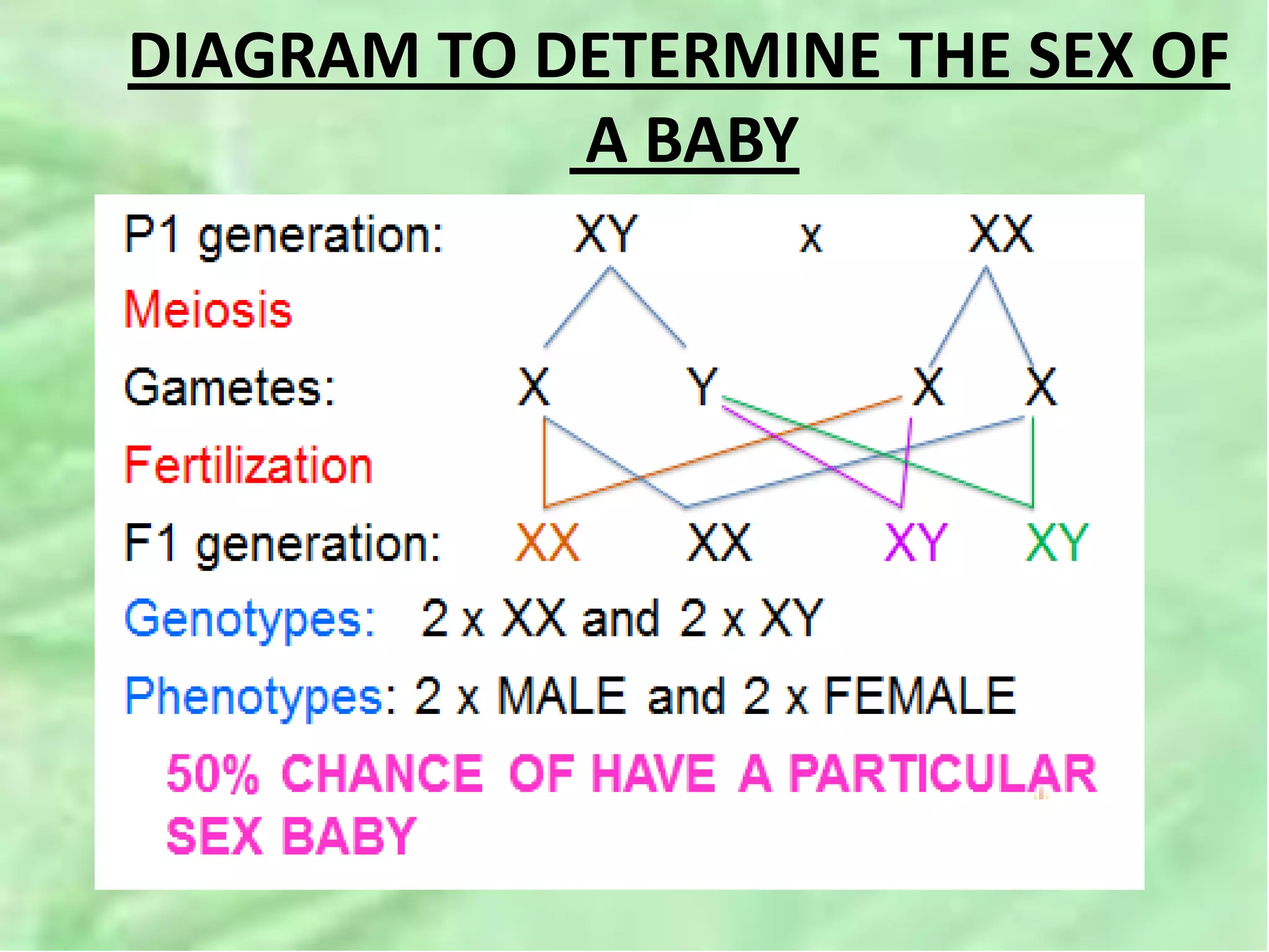 DIAGRAM TO DETERMINE THE SEX OF
A BABY
 