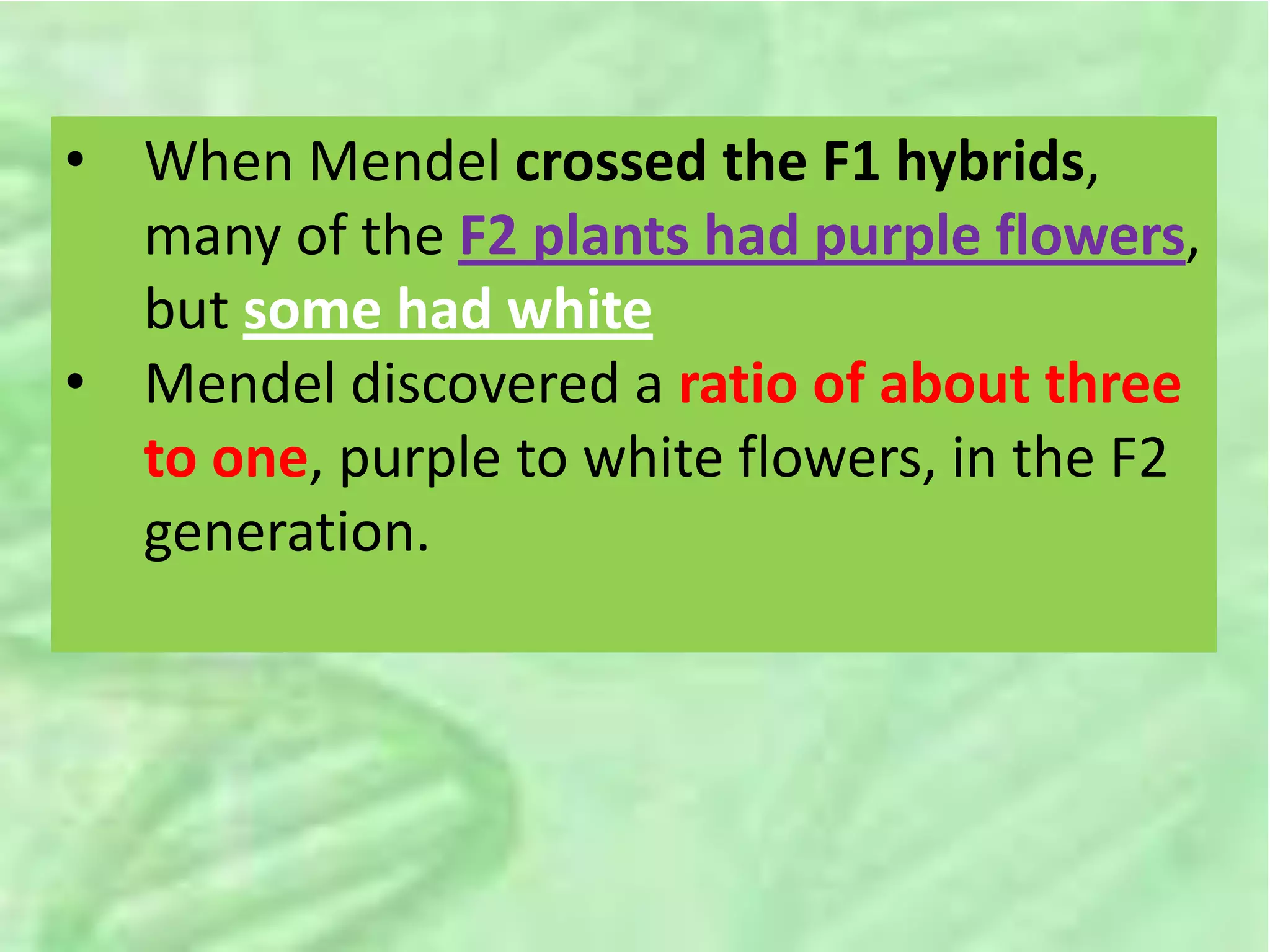 • When Mendel crossed the F1 hybrids,
many of the F2 plants had purple flowers,
but some had white
• Mendel discovered a ratio of about three
to one, purple to white flowers, in the F2
generation.
 