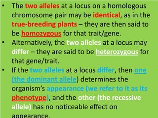 • The two alleles at a locus on a homologous
chromosome pair may be identical, as in the
true-breeding plants – they are then said to
be homozygous for that trait/gene.
• Alternatively, the two alleles at a locus may
differ – they are said to be heterozygous for
that gene/trait.
• If the two alleles at a locus differ, then one
(the dominant allele) determines the
organism’s appearance (we refer to it as its
phenotype), and the other (the recessive
allele) has no noticeable effect on
 