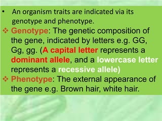 • An organism traits are indicated via its
genotype and phenotype.
 Genotype: The genetic composition of
the gene, indicated by letters e.g. GG,
Gg, gg. (A capital letter represents a
dominant allele, and a lowercase letter
represents a recessive allele)
 Phenotype: The external appearance of
the gene e.g. Brown hair, white hair.
 