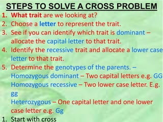 STEPS TO SOLVE A CROSS PROBLEM
1. What trait are we looking at?
2. Choose a letter to represent the trait.
3. See if you can identify which trait is dominant –
allocate the capital letter to that trait.
4. Identify the recessive trait and allocate a lower case
letter to that trait.
5. Determine the genotypes of the parents. –
Homozygous dominant – Two capital letters e.g. GG
Homozygous recessive – Two lower case letter. E.g.
gg
Heterozygous – One capital letter and one lower
case letter e.g. Gg
1. Start with cross
 