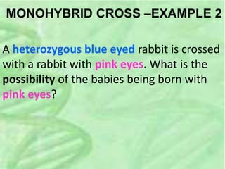 MONOHYBRID CROSS –EXAMPLE 2
A heterozygous blue eyed rabbit is crossed
with a rabbit with pink eyes. What is the
possibility of the babies being born with
pink eyes?
 