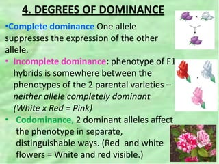 4. DEGREES OF DOMINANCE
•Complete dominance One allele
suppresses the expression of the other
allele.
• Incomplete dominance: phenotype of F1
hybrids is somewhere between the
phenotypes of the 2 parental varieties –
neither allele completely dominant
(White x Red = Pink)
• Codominance, 2 dominant alleles affect
the phenotype in separate,
distinguishable ways. (Red and white
flowers = White and red visible.)
 