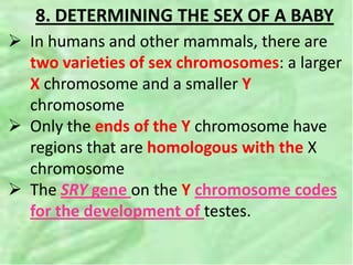 8. DETERMINING THE SEX OF A BABY
 In humans and other mammals, there are
two varieties of sex chromosomes: a larger
X chromosome and a smaller Y
chromosome
 Only the ends of the Y chromosome have
regions that are homologous with the X
chromosome
 The SRY gene on the Y chromosome codes
for the development of testes.
 
