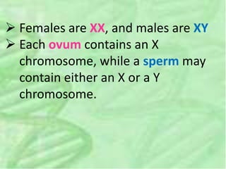  Females are XX, and males are XY
 Each ovum contains an X
chromosome, while a sperm may
contain either an X or a Y
chromosome.
 