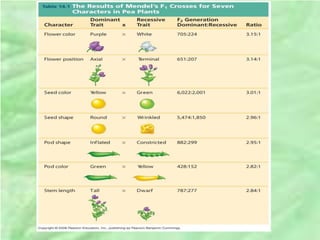 Unit 4 genetics and inheritance