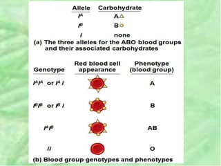 Unit 4 genetics and inheritance