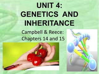 UNIT 4:
GENETICS AND
INHERITANCE
Campbell & Reece:
Chapters 14 and 15
 