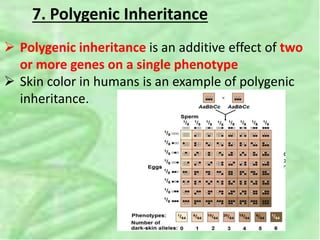 Polygenic Inheritance Examples In Plants