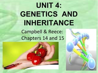 UNIT 4:
GENETICS AND
INHERITANCE
Campbell & Reece:
Chapters 14 and 15
 