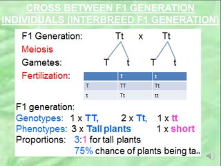 UNIT 4 GENETICS AND INHERITANCE (2).pptx