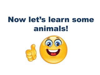 Now let’s learn some
animals!
 