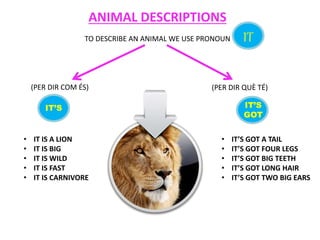 ANIMAL DESCRIPTIONS
TO DESCRIBE AN ANIMAL WE USE PRONOUN
(PER DIR COM ÉS) (PER DIR QUÈ TÉ)
IT
• IT IS A LION
• IT IS BIG
• IT IS WILD
• IT IS FAST
• IT IS CARNIVORE
• IT’S GOT A TAIL
• IT’S GOT FOUR LEGS
• IT’S GOT BIG TEETH
• IT’S GOT LONG HAIR
• IT’S GOT TWO BIG EARS
IT’S IT’S
GOT
 