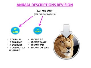ANIMAL DESCRIPTIONS REVISION
CAN AND CAN’T
(PER DIR QUÈ POT FER)
• IT CAN RUN
• IT CAN JUMP
• IT CAN HUNT
• IT CAN PROTECT
HIS FAMILY
IT
CAN
IT
CAN’T
• IT CAN’T FLY
• IT CAN’T DANCE
• IT CAN’T TALK
• IT CAN’T LAY EGGS
 