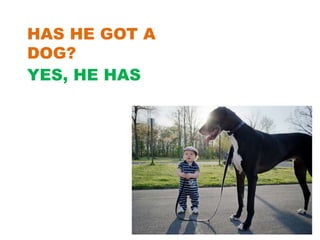HAS HE GOT A
DOG?
YES, HE HAS
 