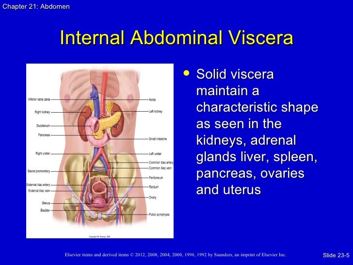 Unit 4 hepatic system abdomen