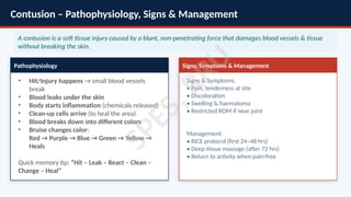 Comprehensive Guide to Common Sports Injuries and First Aid Management ...