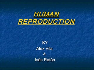 HUMANHUMAN
REPRODUCTIONREPRODUCTION
BYBY
AlexAlex VilaVila
&&
Iván RatónIván Ratón
 