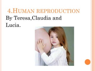 4.HUMAN REPRODUCTION
By Teresa,Claudia and
Lucia.
 