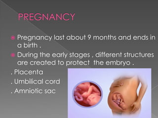  Pregnancy last about 9 months and ends in
a birth .
 During the early stages , different structures
are created to protect the embryo .
. Placenta
. Umbilical cord
. Amniotic sac
 