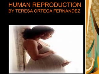 HUMAN REPRODUCTION
BY TERESA ORTEGA FERNANDEZ
 