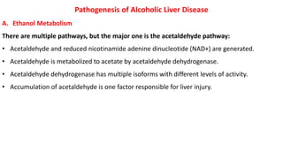 Pathogenesis of Alcoholic Liver Disease
A. Ethanol Metabolism
There are multiple pathways, but the major one is the acetaldehyde pathway:
• Acetaldehyde and reduced nicotinamide adenine dinucleotide (NAD+) are generated.
• Acetaldehyde is metabolized to acetate by acetaldehyde dehydrogenase.
• Acetaldehyde dehydrogenase has multiple isoforms with different levels of activity.
• Accumulation of acetaldehyde is one factor responsible for liver injury.
 