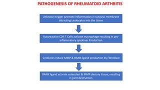 Unknown trigger promote inflammation in synovial membrane
attracting Leukocytes into the tissue
PATHOGENESIS OF RHEUMATOID ARTHRITIS
Autoreactive CD4 T Cells activate macrophage resulting in pro-
inflammatory cytokines Production
Cytokines induce MMP & RANK ligand production by Fibroblast
RANK ligand activate osteoclast & MMP destroy tissue, resulting
in joint destruction.
 