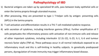 Pathophysiology of IBD
1) Bacterial antigens are taken up by specialized M cells, pass between leaky epithelial cells or
enter the lamina propria through ulcerated mucosa.
2) After processing, they are presented to type 1 T-helper cells by antigen- presenting cells
(APCs) in the lamina propria.
3) T-cell activation and differentiation results in a Th1 T cell-mediated cytokine response.
4) with secretion of cytokines, including interferon gamma (IFN-γ). Further amplification of T
cells perpetuates the inflammatory process with activation of non-immune cells and release
of other important cytokines, including interleukin 12 (IL-12), IL-23, IL-1, IL-6 and tumour
necrosis factor alpha (TNF-α). These pathways occur in all normal individuals exposed to an
inflammatory insult and this is self-limiting in healthy subjects. In genetically predisposed
persons, dysregulation of innate immunity may trigger inflammatory bowel disease.
 