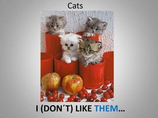 Cats I (DON´T) LIKE THEM…  