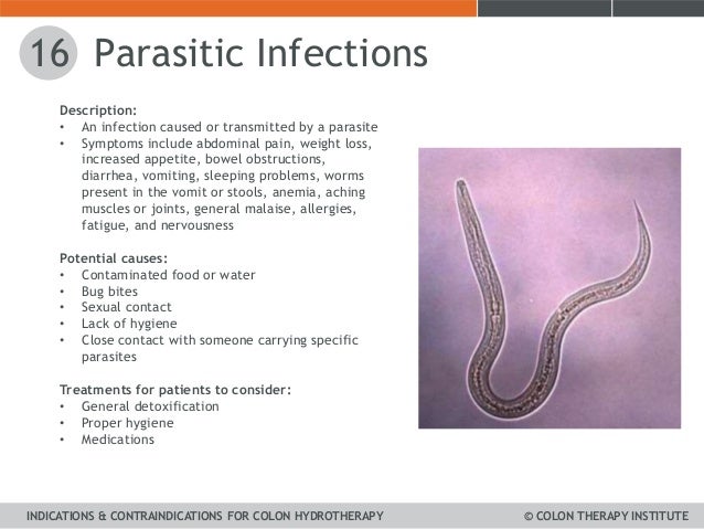Irritable Bowel Syndrome Dogs Natural Treatment Irritable Bowel Syndrome Dogs Natural Treatment