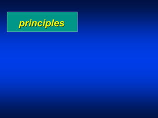 principles
 
