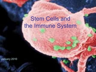 Stem Cells and
the Immune System
January 2010
 