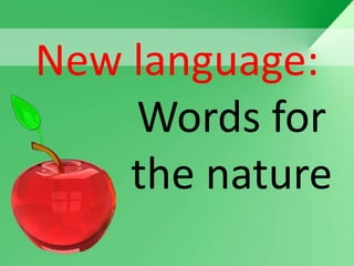 New language:
    Words for
    the nature
 