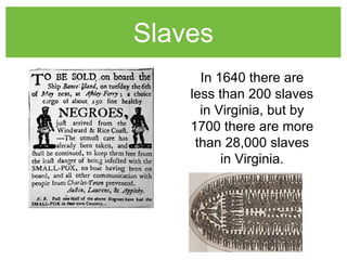 Slaves
In 1640 there are
less than 200 slaves
in Virginia, but by
1700 there are more
than 28,000 slaves
in Virginia.
 