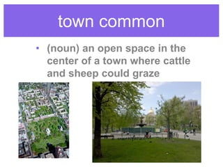 town common
• (noun) an open space in the
center of a town where cattle
and sheep could graze
 